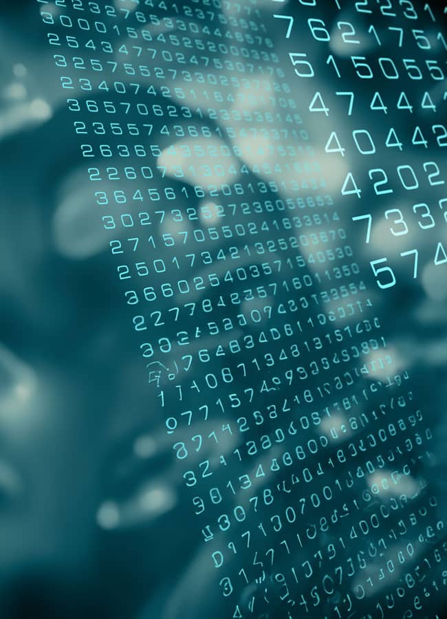 Algorithmic Accountability: What Internal Auditors Need to Know About Auditing AI Systems