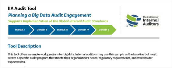 IIA Audit Tool: Planning a Big Data Audit Engagement