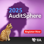 <strong>2025 AuditSphere</strong>