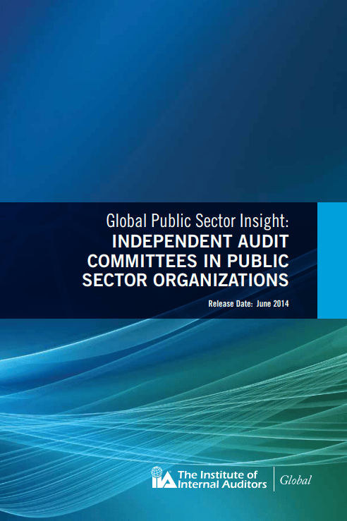 Global Public Sector Insight: Independent Audit Committees in Public Sector Organizations